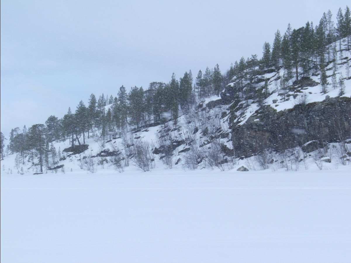 Dogs sledge17